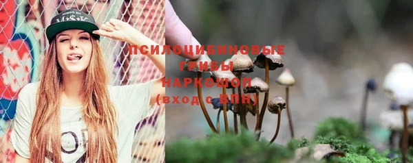 прущие крисы Бугульма