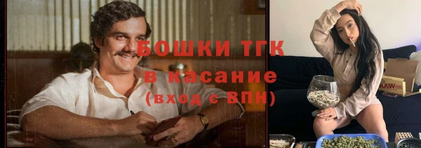 прущие крисы Богданович