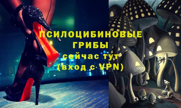 прущие крисы Бугульма