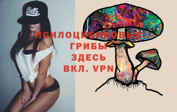 прущие крисы Бугульма