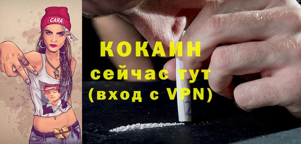 ALPHA-PVP Богородицк