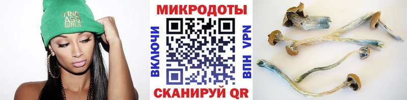 мориарти официальный сайт  Клин  Псилоцибиновые грибы Cubensis 